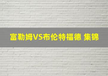 富勒姆VS布伦特福德 集锦